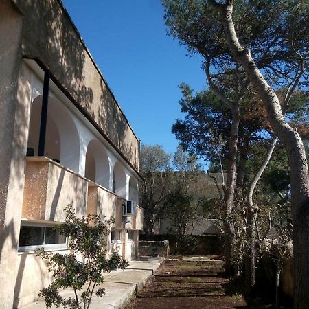 Villa Alda - Bilocali Vista Mare Santa Cesarea Terme Eksteriør billede