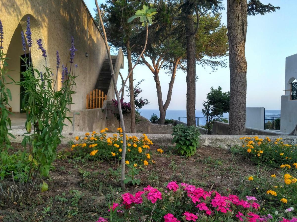 Villa Alda - Bilocali Vista Mare Santa Cesarea Terme Eksteriør billede