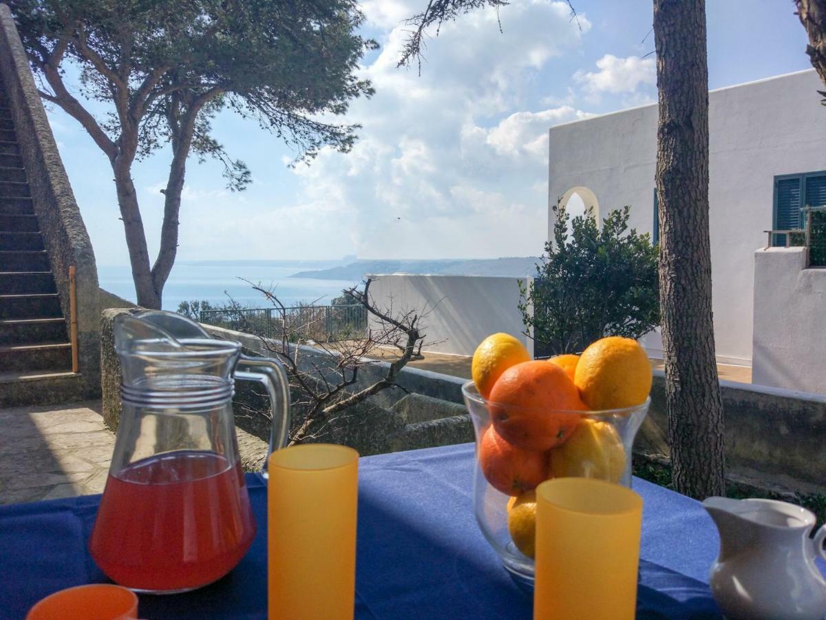 Villa Alda - Bilocali Vista Mare Santa Cesarea Terme Eksteriør billede