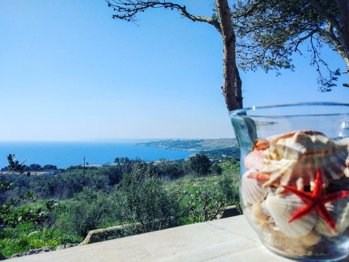 Villa Alda - Bilocali Vista Mare Santa Cesarea Terme Eksteriør billede