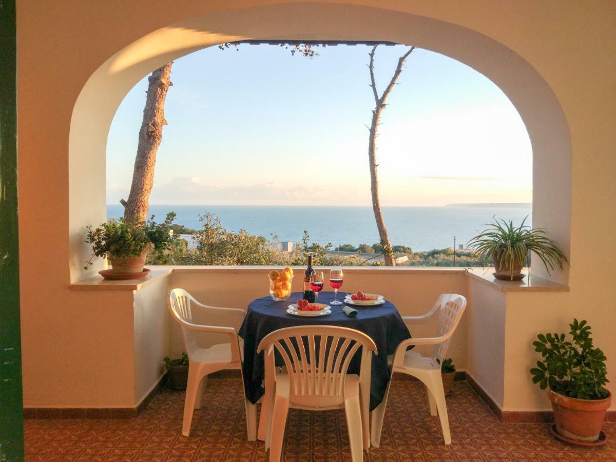 Villa Alda - Bilocali Vista Mare Santa Cesarea Terme Eksteriør billede