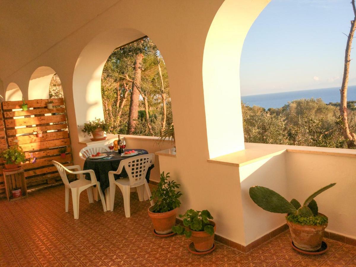 Villa Alda - Bilocali Vista Mare Santa Cesarea Terme Eksteriør billede