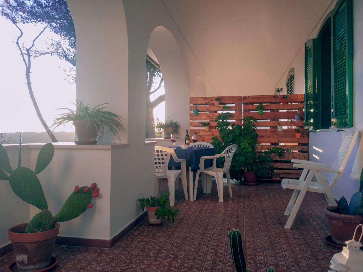 Villa Alda - Bilocali Vista Mare Santa Cesarea Terme Eksteriør billede