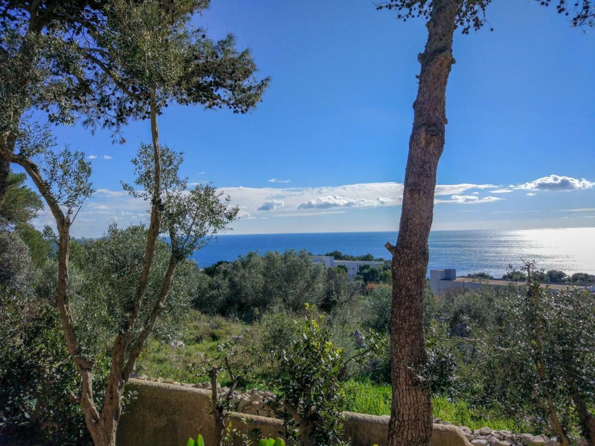 Villa Alda - Bilocali Vista Mare Santa Cesarea Terme Eksteriør billede