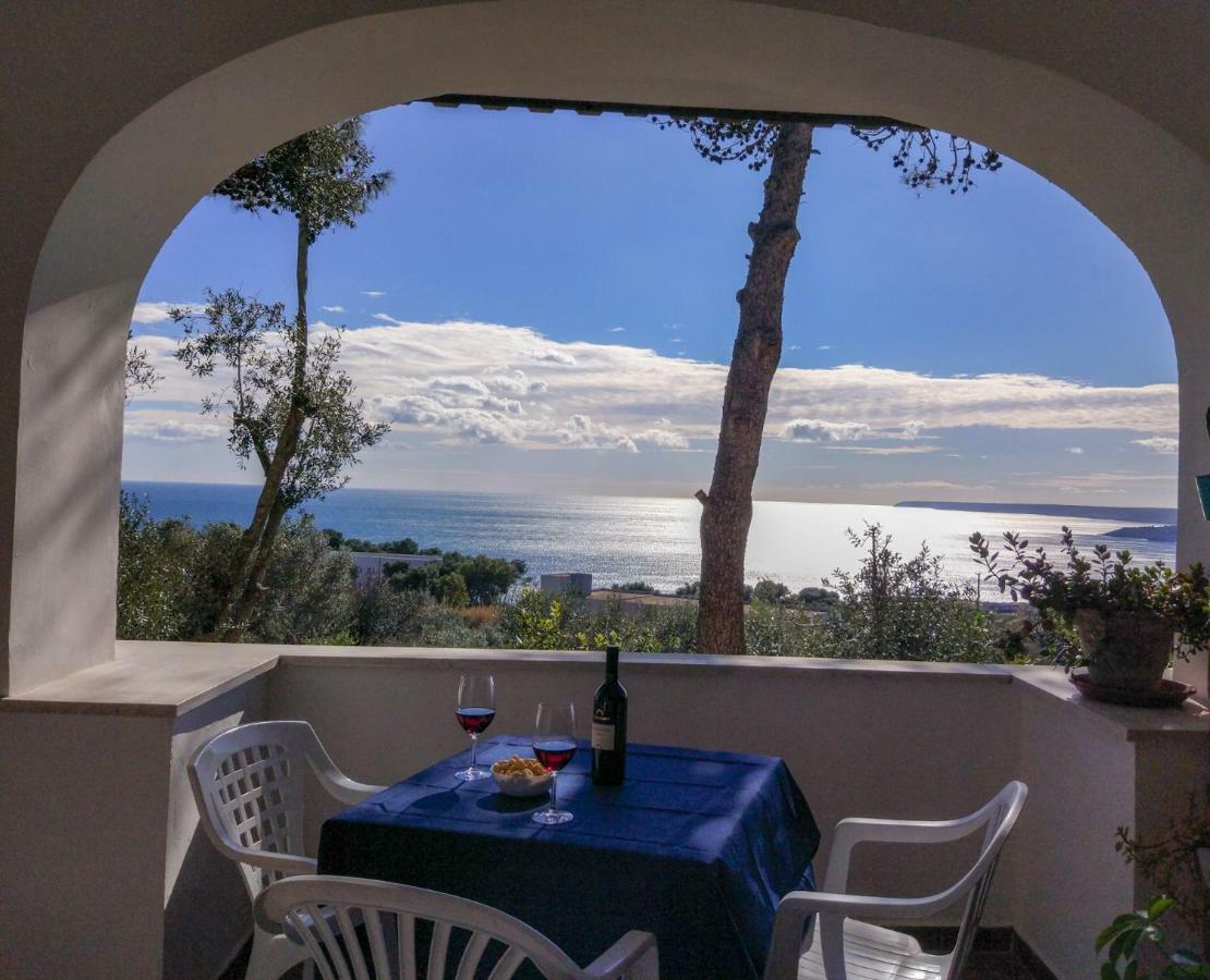 Villa Alda - Bilocali Vista Mare Santa Cesarea Terme Eksteriør billede